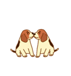 cute beagle dogs（個別スタンプ：34）
