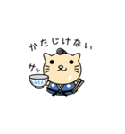 ネコ用心棒（個別スタンプ：1）