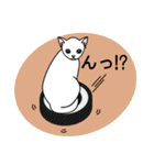 Odd-eye Cats（個別スタンプ：24）