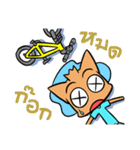 Cycling Cat by ROGER I.S.（個別スタンプ：20）