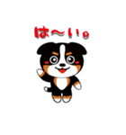 三毛犬バニちゃん-2（個別スタンプ：1）