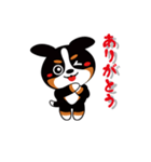 三毛犬バニちゃん-2（個別スタンプ：2）