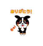 三毛犬バニちゃん-2（個別スタンプ：3）
