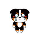 三毛犬バニちゃん-2（個別スタンプ：25）