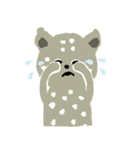 Snow leopard（個別スタンプ：28）