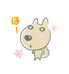 感嘆するネコと犬とロボット(日本語版)（個別スタンプ：22）