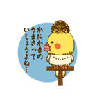 オカメインコのビクトリア（個別スタンプ：16）