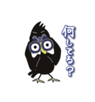 カラスのカーゴくん（個別スタンプ：7）