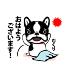 豆大福くん（個別スタンプ：1）