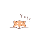 柴犬セット（個別スタンプ：8）