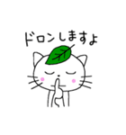 すずねこさん（個別スタンプ：40）