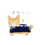 ちょらねこ(日本語)（個別スタンプ：8）