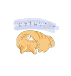 ちょらねこ(日本語)（個別スタンプ：27）