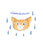 ちょらねこ(日本語)（個別スタンプ：34）