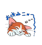 ネコのマタタビ君（個別スタンプ：3）