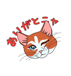 ネコのマタタビ君（個別スタンプ：5）