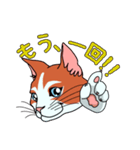 ネコのマタタビ君（個別スタンプ：9）