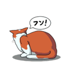 ネコのマタタビ君（個別スタンプ：16）