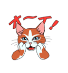 ネコのマタタビ君（個別スタンプ：19）