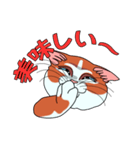 ネコのマタタビ君（個別スタンプ：25）