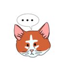ネコのマタタビ君（個別スタンプ：38）