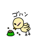にわとピヨ（個別スタンプ：29）