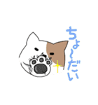 ぽっちゃり犬のスタンプ（個別スタンプ：18）