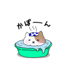 ぽっちゃり犬のスタンプ（個別スタンプ：31）