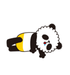 ぱんだのめいめい。ときどき、ぽんちゃん（個別スタンプ：21）