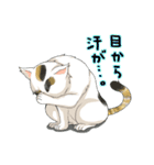 三毛猫ゆき千代（個別スタンプ：27）