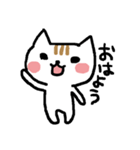 つり目ニャンコ（個別スタンプ：1）