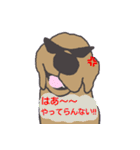 つぶやきいぬ（個別スタンプ：16）