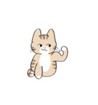 Chill Chill The Cat（個別スタンプ：16）