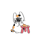 Chill Chill The Cat（個別スタンプ：29）