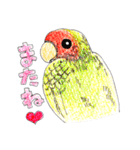 ラブリーな鳥たち（個別スタンプ：11）