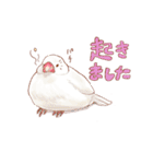 アイラブ！手乗り文鳥（個別スタンプ：16）