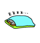 気ままなチワワ（個別スタンプ：24）
