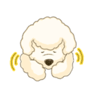 白犬のプードル (修正版)（個別スタンプ：6）