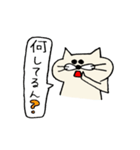 ねこ太『和歌山弁バージョン』（個別スタンプ：20）