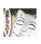 しろ目ねこ（個別スタンプ：9）