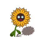 SUNFLOWER（個別スタンプ：24）