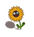 SUNFLOWER（個別スタンプ：25）