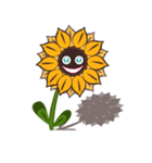 SUNFLOWER（個別スタンプ：31）