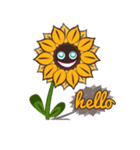 SUNFLOWER（個別スタンプ：37）