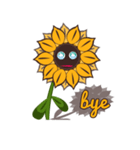 SUNFLOWER（個別スタンプ：40）