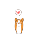 コーギー犬。2（個別スタンプ：1）