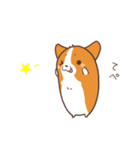 コーギー犬。2（個別スタンプ：4）