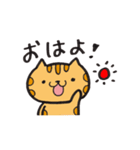 ゆるとらねこ（個別スタンプ：1）