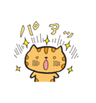 ゆるとらねこ（個別スタンプ：13）