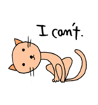Kawaii cats (only English)（個別スタンプ：37）
